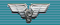 GDR Medals for Loyal Service in the German Railroads 20 yrs ribbon.png