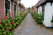 Burg. Brouwersstraat met stokrozen