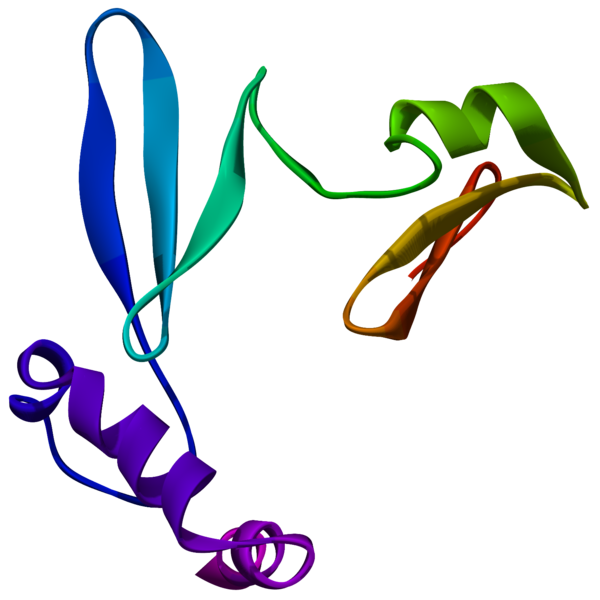 File:Ghrelin-3D-predicted.png