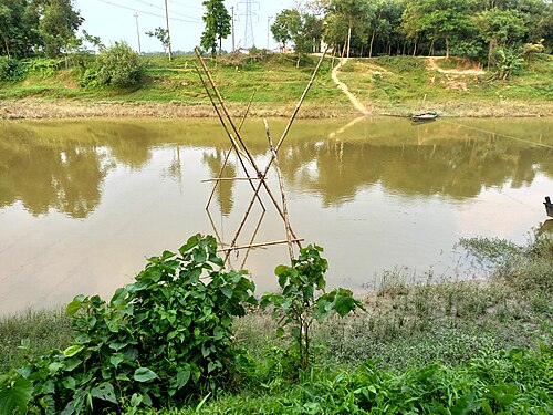 Gomti River