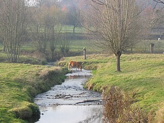 Gulp (river)