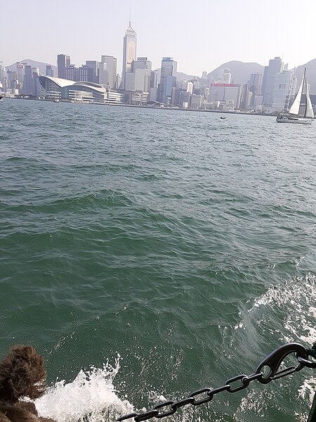 File:HK 中環天星碼頭 Central to 尖沙咀天星碼頭 TST Piers 天星小輪 Star Ferry view 維多利亞港 Victoria Harbour November 2019 SS2 20.jpg