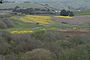 Hearst san simeon state park.jpg