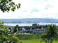 Blick vom Norden auf Kloster Hegne mit dem Gnadensee, im Hintergrund der Damm zur Insel Reichenau und der Seerücken