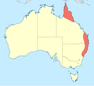 Hemicordulia continentalis distribution map.svg