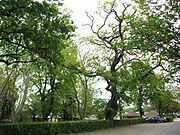 Luitpoldplatz