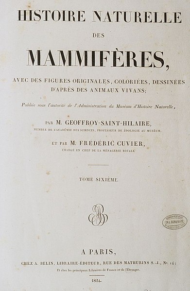 File:Histoire naturelle des mammiferes vol 6.jpg