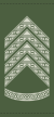 Historical rank insignia of Oversergent of the Royal Danish Army.svg