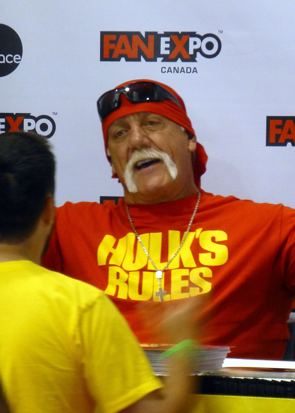 Arkæologiske Derved pessimist Hulk Hogan: Birthday, Age, and Zodiac