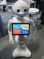 Humanoid Robot