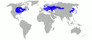 <span class="mw-page-title-main">Climate of Moscow</span> Climate of the capital of Russia