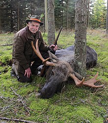 Hunter with his kill after a moose hunt in Småland, Sweden, 2015-10-15.jpg