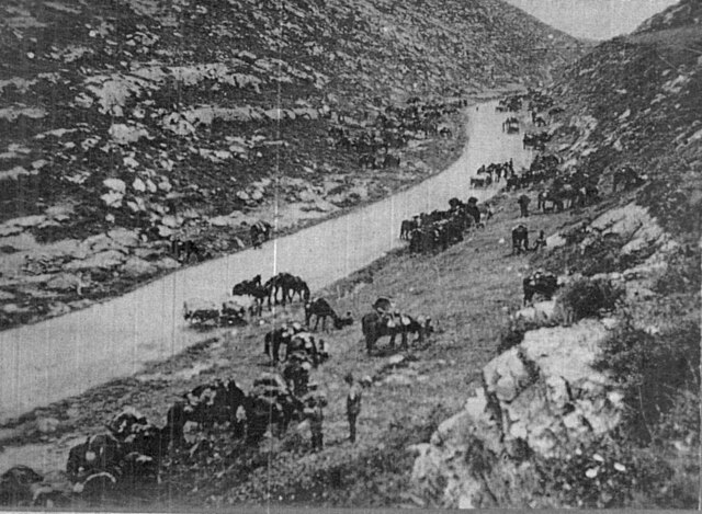 The 1st Light Horse Brigade resting on the road between Jerusalem and Latron after fighting at Abu Tellul on 14–16 July
