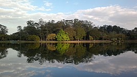 Ibirapuera lake, winter 2017