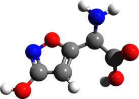 Ibotenic acid 3D structure.png