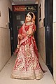 Indian UttarPradesh Brides Images (21)