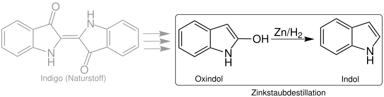 Indigo –––> –––> Oxindol –––> Indol
