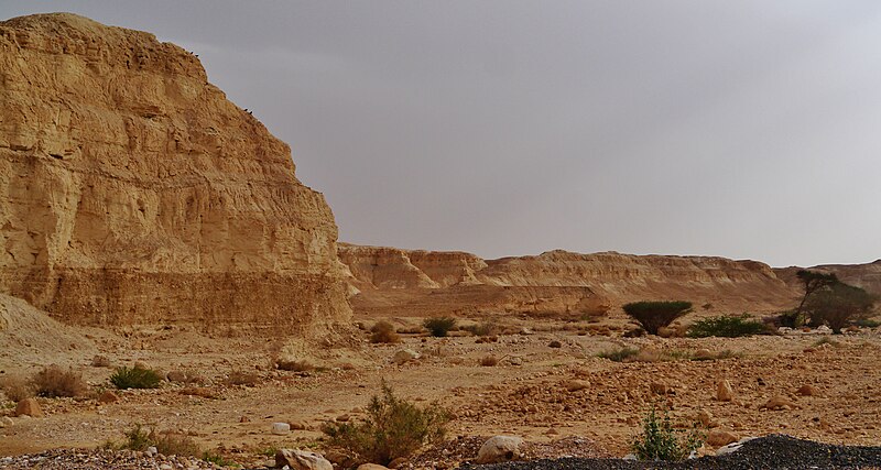 File:Israel Wüste Negev 07.JPG