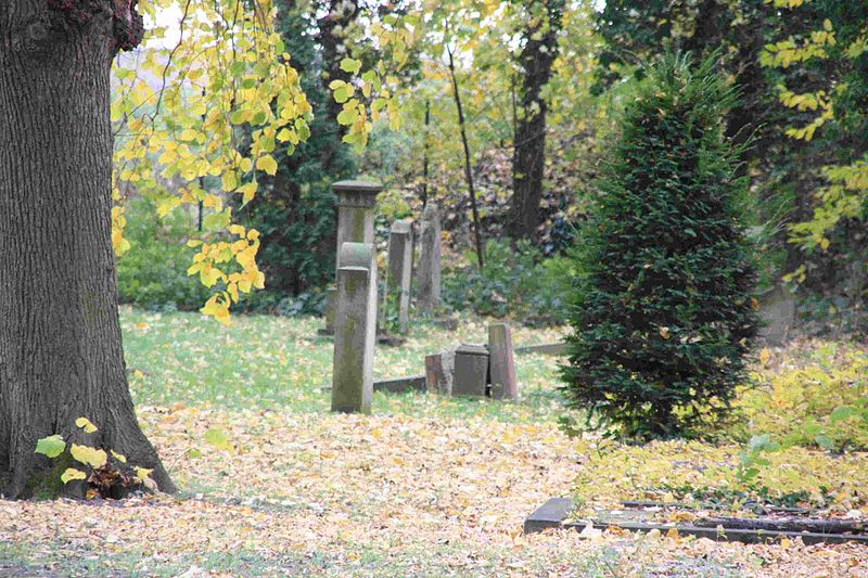 File:Jüdischer Friedhof Elsdorf 06.JPG