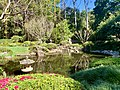 * Nomination Japanese Garden, Mount Coot-tha, Queensland. By User:Kgbo --Elryck 13:29, 27 August 2020 (UTC) * Promotion Good quality -- Spurzem 14:22, 27 August 2020 (UTC)
