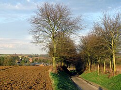 Skyline of Jeancourt