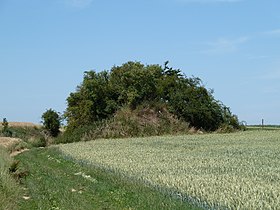 Tumulus de Piétrain makalesinin açıklayıcı görüntüsü