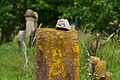 * Nomination: Upper part of a gravestone in the oldest Jewish cemetery in Worms. By User:Englandfan~commonswiki --Augustgeyler 07:55, 28 June 2024 (UTC) * * Review needed