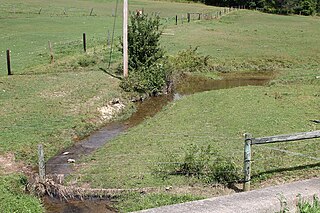 Kashinka Hollow tributary of East Branch Briar Creek in Columbia County, Pennsylvania