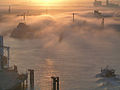 Vue depuis la vigie de la Capitainerie du port du Havre.