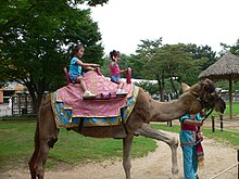 File:Korea-Yongin-Everland-10.jpg