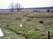 Grabhügel mit Ringgraben