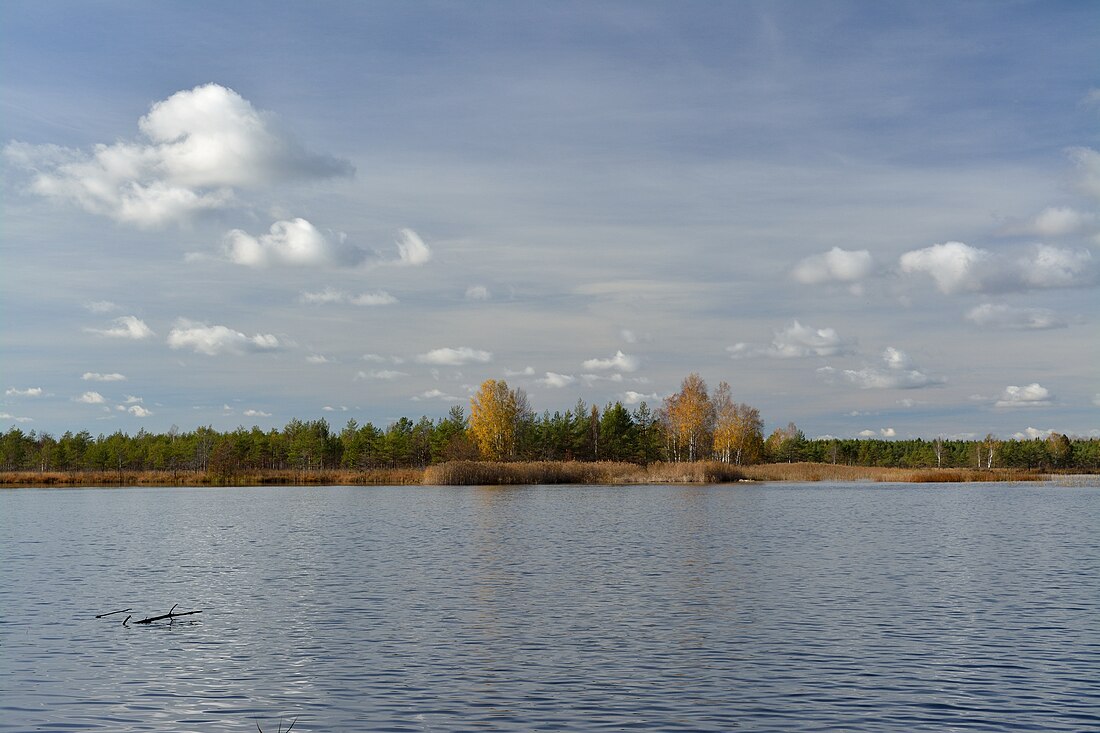 Kurtna Suurjärv