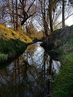 Kurzyca: Nebenfluss der Oder