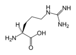 Arginin的縮略圖
