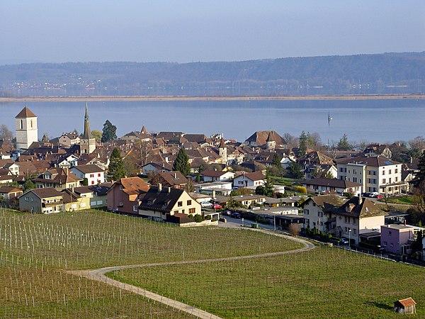 La Neuveville town, the surrounding vineyards and Lake Biel