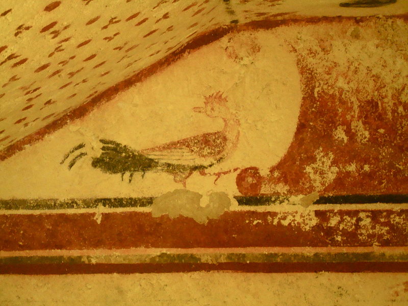 File:Le tombe etrusche dipinte 05.JPG