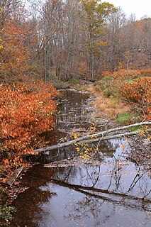 Leonard Creek