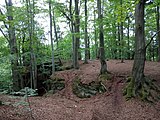Libeč - skalní ostroh se zbytky hradu Rechenburk