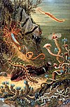 "Varietat de cucs marins", Das Meer per M. J. Schleiden (1804-1881)