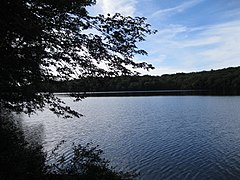 Long Pond, Grafton Lakes Eyalet Parkı.jpg