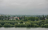 Deutsch: Die Petersaue im Inselrhein bei Mainz-Kastel