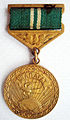 Медаль «Шапагат» (Тип 1)
