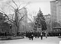 View of the Christmas tree in Madison Square Park in New York City (circa 1910)