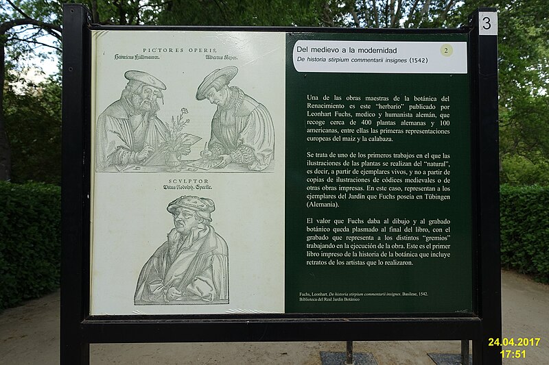 File:Madrid- Botanical Garden (34508024746).jpg
