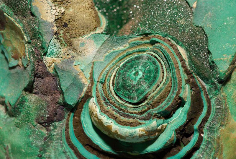 File:Malachite Congo 2 Luc Viatour.jpg