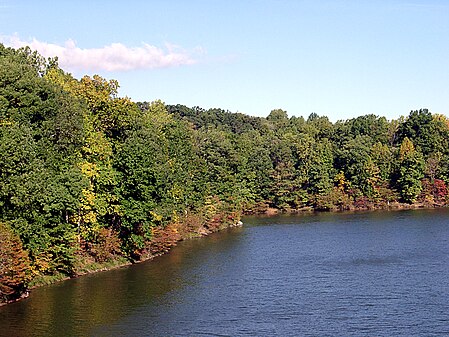 The shore of Lake Needwood, 2002