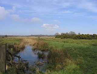 Minsmere village in the United Kingdom