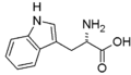 Tryptophan