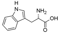 Mol2D.L.Tryptophan.png