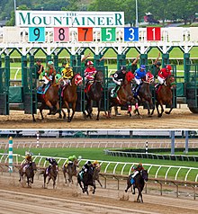 The start and stretch run on a sloppy main (dirt) track at the Mountaineer Park racetrack. Mountaineer Park horses.jpg